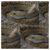 Rattlesnake foto stof (Close Up)
