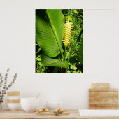 Rattlesnake Ginger Poster (Keuken)