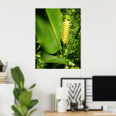 Rattlesnake Ginger Poster (Thuiskantoor)