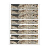 Rattlesnake in het Nationaal Park Shenandoah (Vel)