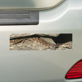 Rattlesnake in het Nationaal Park Shenandoah Bumpersticker (Op auto)