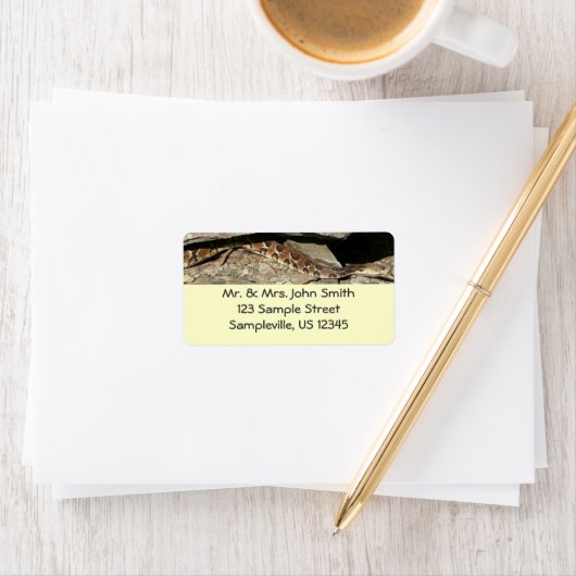 Rattlesnake in het Nationaal Park Shenandoah Etiket (Insitu)