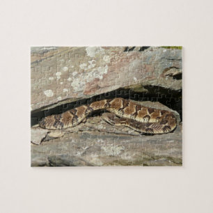 Rattlesnake in het Nationaal Park Shenandoah Legpuzzel