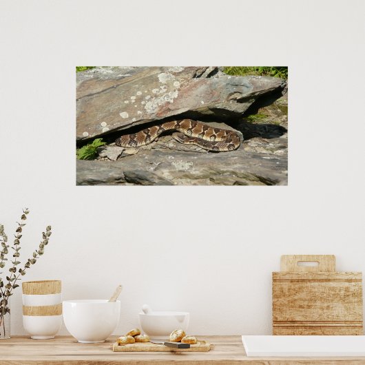 Rattlesnake in het Nationaal Park Shenandoah Poster (Keuken)