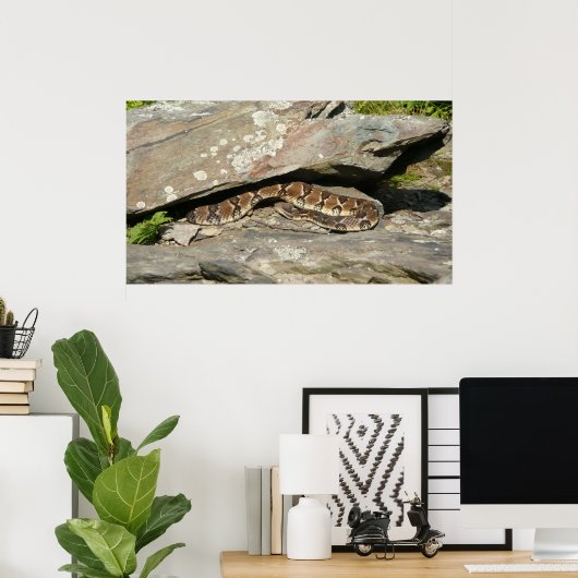 Rattlesnake in het Nationaal Park Shenandoah Poster (Thuiskantoor)