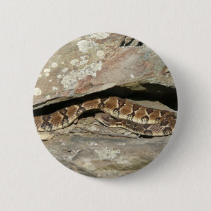 Rattlesnake in het Nationaal Park Shenandoah Ronde Button 5,7 Cm