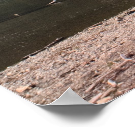 Rattlesnake Lake, Washington Print (Hoek)