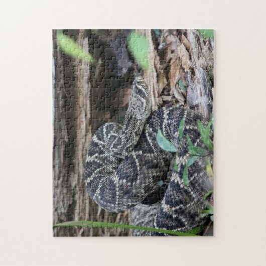 Rattlesnake Legpuzzel (Verticaal)
