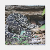 Rattlesnake Magneet (Voorkant)