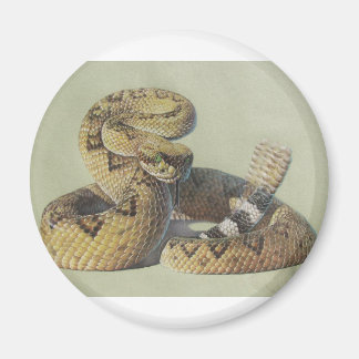 Rattlesnake Magneet