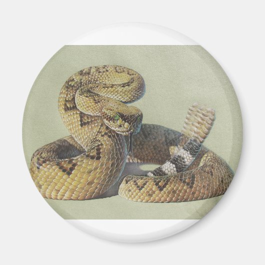 Rattlesnake Magneet (Voorkant)