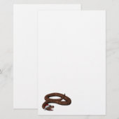 Rattlesnake met Santa Hat (Voorkant / Achterkant)