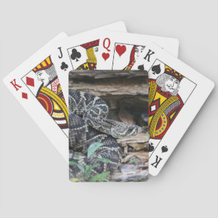 Rattlesnake Pokerkaarten