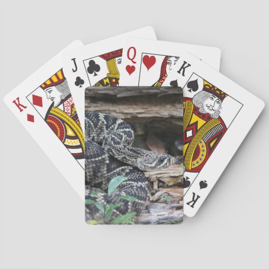 Rattlesnake Pokerkaarten (Achterkant)
