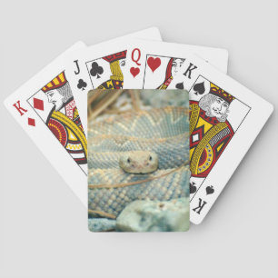 Rattlesnake Pokerkaarten