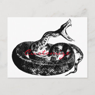 Rattlesnake Thunder_Cove Briefkaart