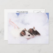 Ratty Briefkaart (Voorkant / Achterkant)