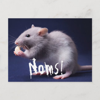 Ratty Lolz Briefkaart