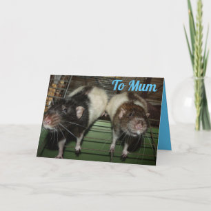 Ratty sourit la carte de la fête des mères
