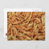 Rauwe kippenfeet briefkaart (Voorkant / Achterkant)