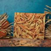 Rauwe kippenfeet fotoplaat (Zijkant)