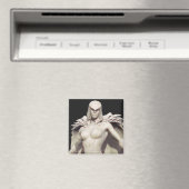 Raven Alternate Magneet (Insitu (Vaatwasser))