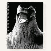Raven Art Carnet Crow Art Journal Livre (Devant)