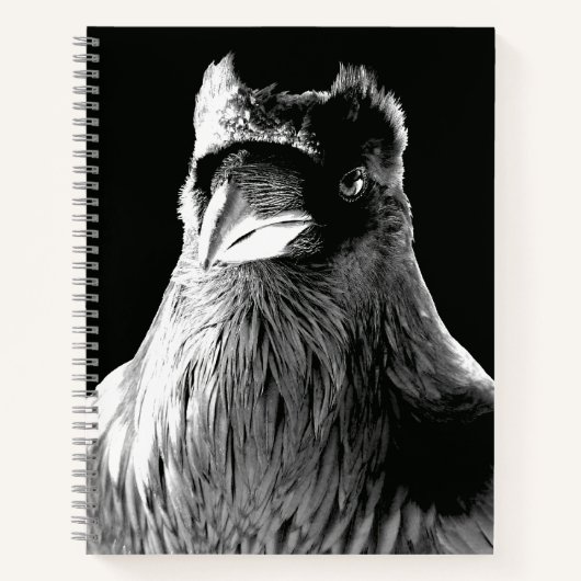 Raven Art Carnet Crow Art Journal Livre (Devant)