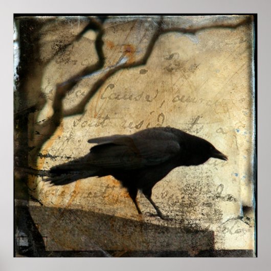Raven Art Poster (Voorkant)