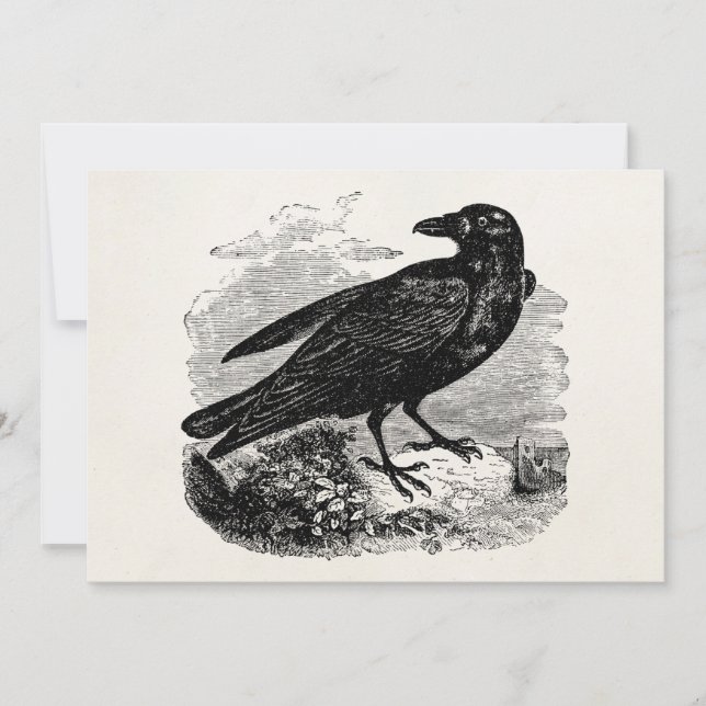  Raven Black Bird Crow Persoonlijke vogels (Voorkant)