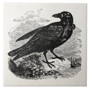  Raven Black Bird Crow Persoonlijke vogels Tegeltje
