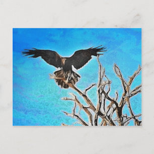 Raven-boom Briefkaart