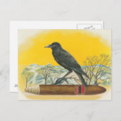 Raven Briefkaart (Voorkant / Achterkant)