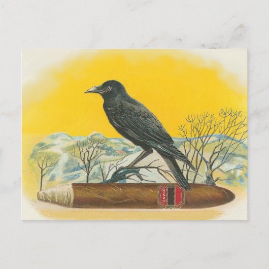 Raven Briefkaart (Voorkant)