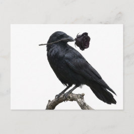 Raven Briefkaart