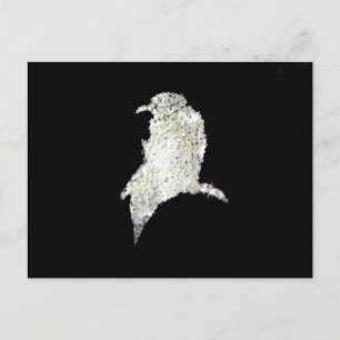 Raven Briefkaart
