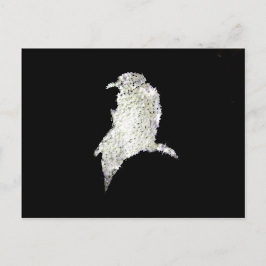 Raven Briefkaart (Voorkant)