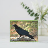 Raven Briefkaart (Staand voorkant)