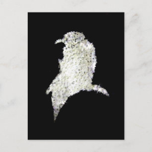 Raven Briefkaart