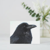 Raven Briefkaart (Staand voorkant)