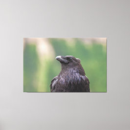 Raven Canvas Afdruk