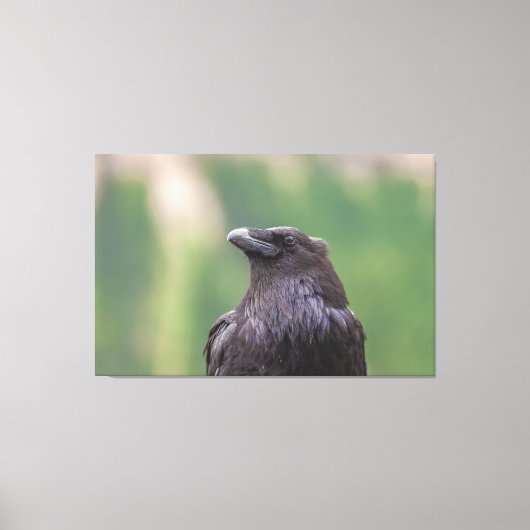 Raven Canvas Afdruk (Voorkant)