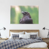 Raven Canvas Afdruk (Insitu (Slaapkamer))