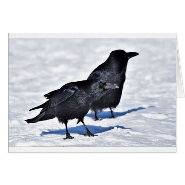 Raven Card (Voorkant Horizontaal)