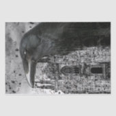 Raven Collage Tissue Tissuepapier (Voorkant)