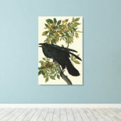 Raven (Common Raven) van Audubon Birds of America Canvas Afdruk (Insitu (Houten vloer))
