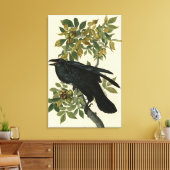 Raven (Common Raven) van Audubon Birds of America Canvas Afdruk (Insitu (Woonkamer))