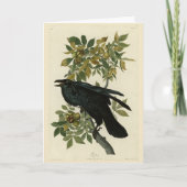 Raven (Common Raven) van Audubon Birds of America Kaart (Voorkant)