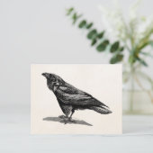  Raven Crow Blackbird Bird Illustratie Briefkaart (Staand voorkant)