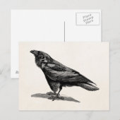  Raven Crow Blackbird Bird Illustratie Briefkaart (Voorkant / Achterkant)